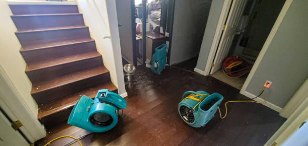 Best Residential water damage restoration  in Sprague, WV