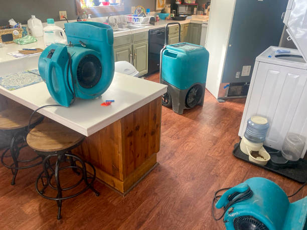 Best Water damage contractors near me  in Sprague, WV