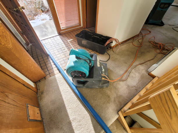 Best Water damage cleanup near me  in Sprague, WV