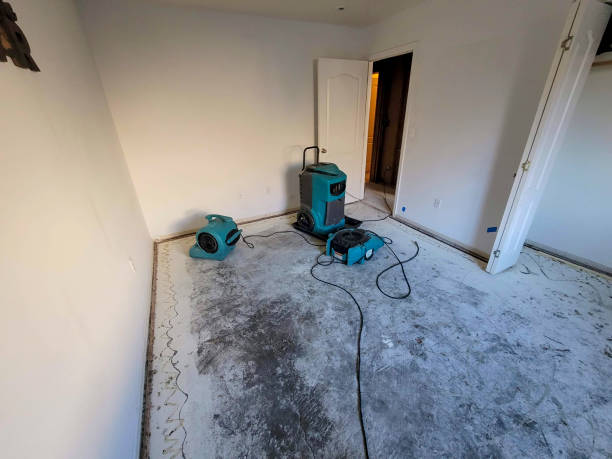 Best Basement water damage restoration  in Sprague, WV