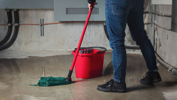 Best Flood restoration services  in Sprague, WV