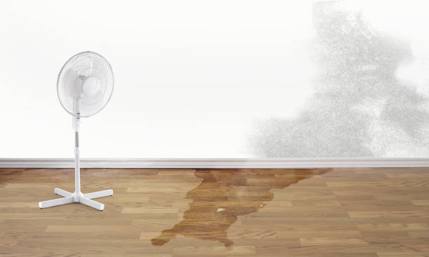 Best Local water damage restoration  in Sprague, WV
