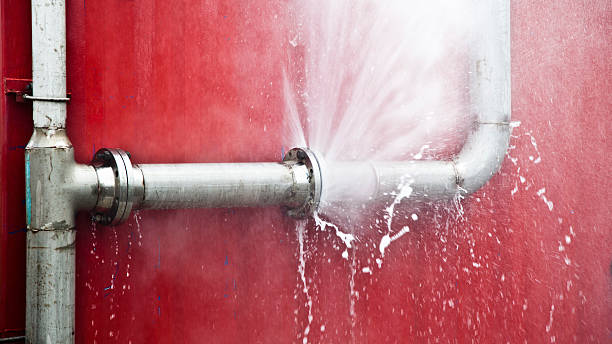 Best Carpet water damage restoration  in Sprague, WV